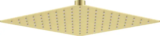 DEANTE - Cascada kartáčované zlato Sprchová hlavica - 250x250 mm NAC_R02K