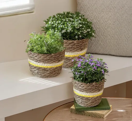 Weltbild Obal na květináč z mořské trávy, žlutý, sada 3 ks