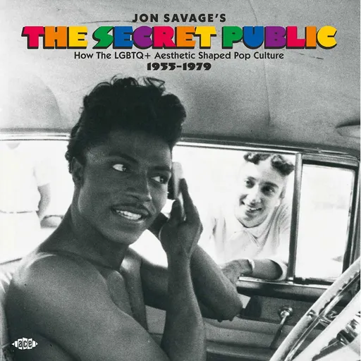 Various Artists, JON SAVAGE'S THE SECRET PUBLIC, CD