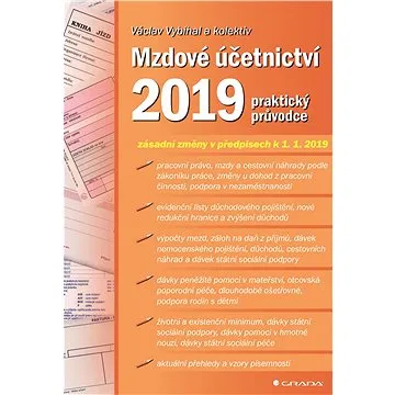 Mzdové účetnictví 2019 (978-80-271-2246-2)