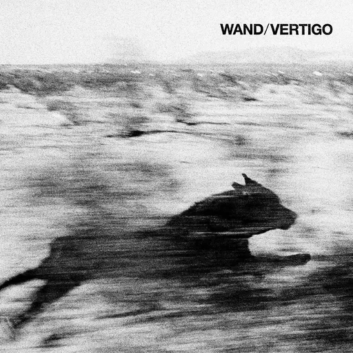 Wand, VERTIGO, CD