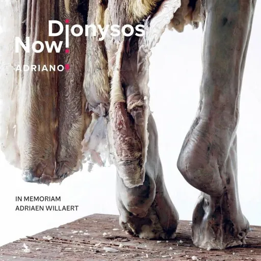 Dionysos Now!, ADRIANO 5, CD