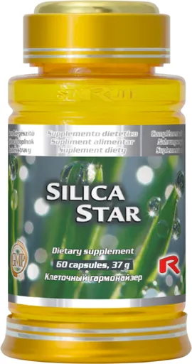 Silica Star - praslička roľná