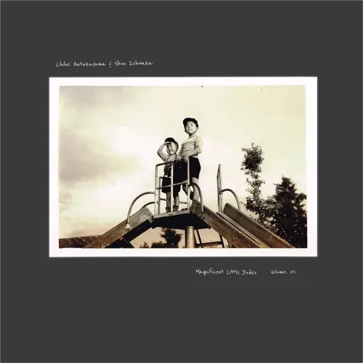 Chihei Hatakeyama, MAGNIFICENT LITTLE DUDES - VOLUME 01, CD