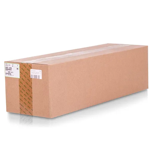 RICOH D0292252 - originálna optická jednotka, čierna, 20000 strán