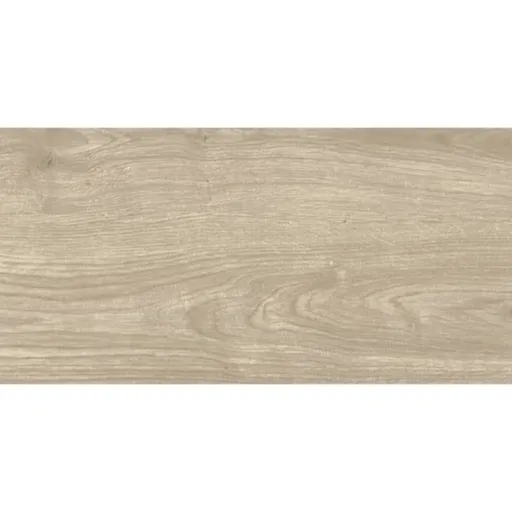 Dlažba Multi Salem sivá 30x60 cm mat SALEM36GR