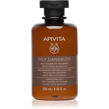 Apivita Dandruff Oily Dandruff Shampoo šampón proti lupinám pre mastné vlasy 250 ml