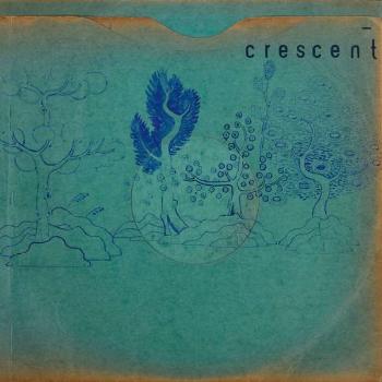 CRESCENT - RESIN POCKETS, CD