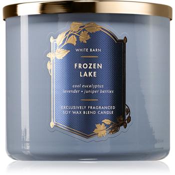 Bath & Body Works Frozen Lake vonná sviečka 411 g