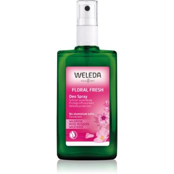 Weleda Ruža dezodorant 100 ml