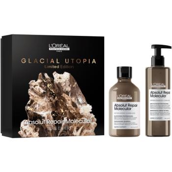 L’Oréal Professionnel Serie Expert Absolut Repair Molecular darčeková sada pre poškodené vlasy