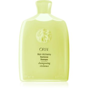 Oribe Hair Alchemy Resilience Shampoo posilující šampon pro křehké vlasy 250 ml