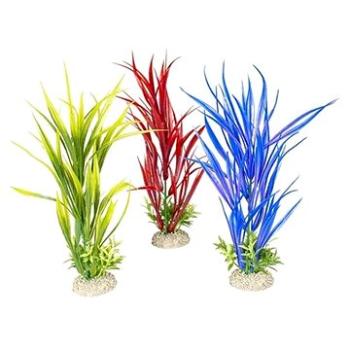 Ebi Aqua Della Amazon sword M mix farieb 30 cm 1 ks (4047059458327)