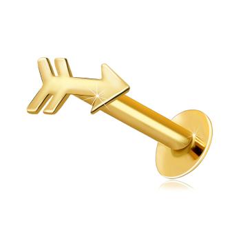 Piercing do pery a brady zo 14K žltého zlata - motív šípu 
