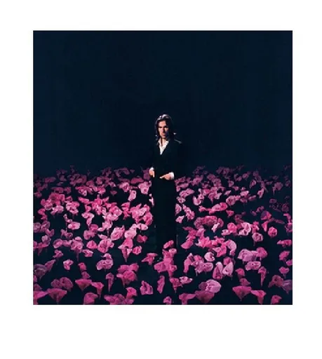 Cosmic Crooner, PERKS A BEING A HYPOCRITE, CD