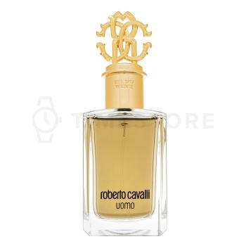 Roberto Cavalli Uomo toaletná voda pre mužov 100 ml   - 30 dní na vrátenie tovaru, Garancia originality
