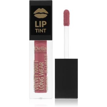 Delia Cosmetics Lip Tint matný tekutý rúž odtieň 010 NUDE ROSE 5 ml