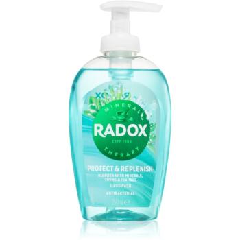 Radox Protect + Replenish Săpun lichid pentru mâini 250 ml