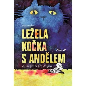 LEŽELA KOČKA S ANDĚLEM (978-80-879-3837-9)