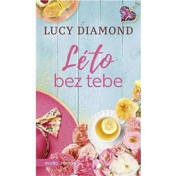 Léto bez tebe (978-80-267-1498-9)