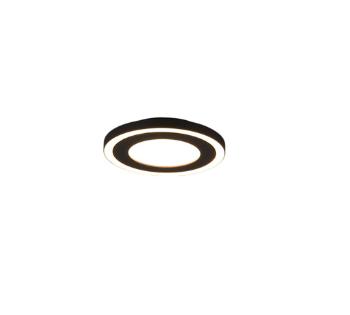 LED stropné osvetlenie Reality Carus čierna R67222032