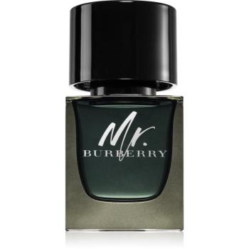 Burberry Mr. Burberry parfumovaná voda pre mužov 50 ml