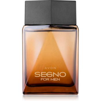 Avon Segno parfumovaná voda pre mužov 75 ml