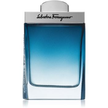 Ferragamo Subtil Pour Homme toaletná voda pre mužov 100 ml