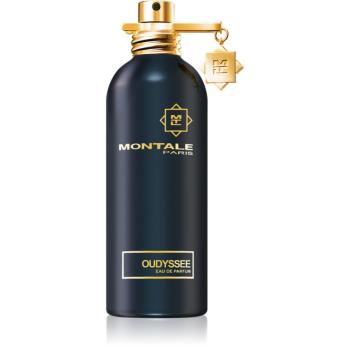 Montale Oudyssee parfumovaná voda unisex 100 ml