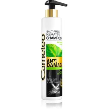 Delia Cosmetics Cameleo BB keratínový šampón pre poškodené vlasy 250 ml