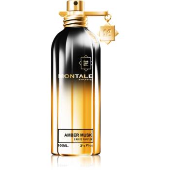 Montale Amber Musk parfumovaná voda unisex 100 ml