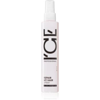 Natura Siberica ICE Professional Repair My Hair bezoplachová vlasová starostlivosť v spreji 100 ml