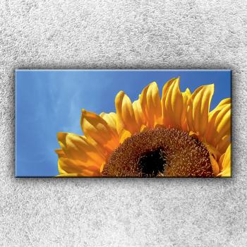 Foto na plátno Slnečnica 100x50 cm