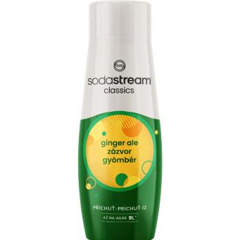 SODASTREAM SIRUP GINGER ALE(ZAZVOR)440ML