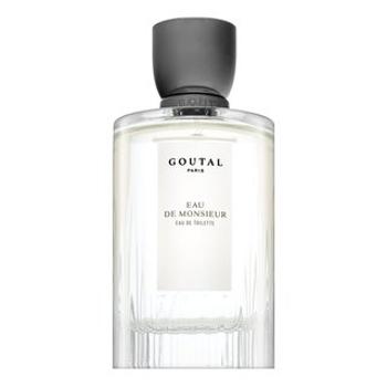 Annick Goutal Eau De Monsieur toaletná voda pre mužov 100 ml