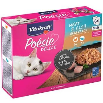 Vitakraft Cat mokré krmivo Poésie Délice Gelee Multipack losos, morka 6× 85 g (4008239398758)