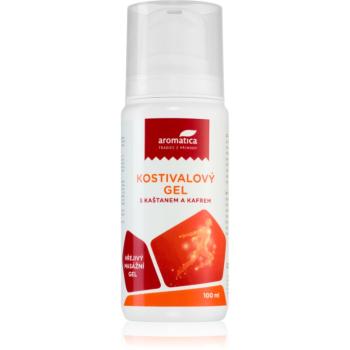 Aromatica Tradice z přírody Castor gel warm Gel încălzire pentru relaxarea mușchilor și articulațiilor 100 ml