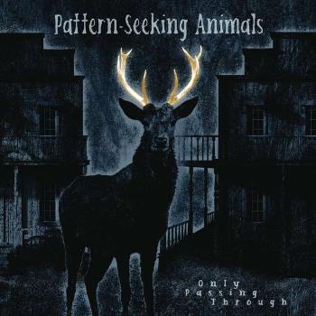 Pattern-Seeking Animals - Only Passing Through, CD