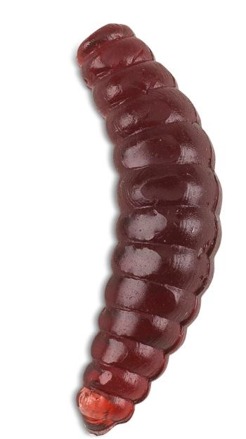 Saenger iron trout gumové nástrahy bee maggots 2,5 cm-farba br