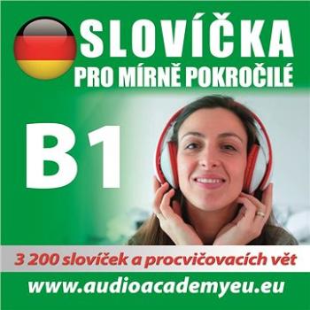 Němčina - slovíčka B1