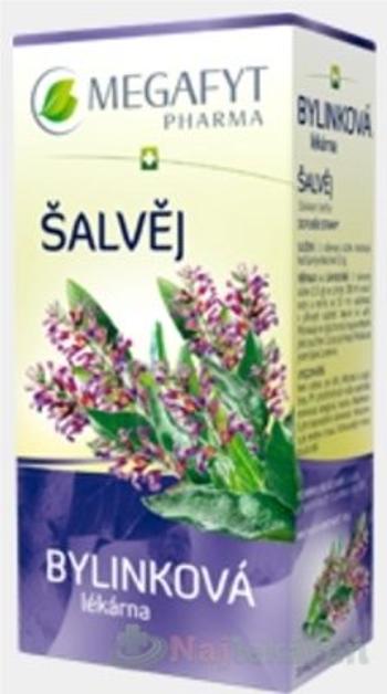 MEGAFYT Bylinková lekáreň ŠALVIA bylinný čaj, 20x1,5 g