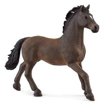 Schleich 13946 Zvieratko – žrebec oldenburský (4059433379487)