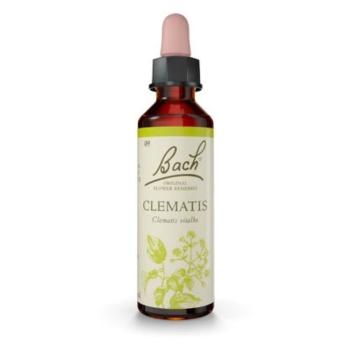 ORIGINAL BACH® Clematis 20 ml