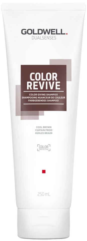 Goldwell Šampón na oživenie farby vlasov Cool Brown Dualsenses Color Revive ( Color Giving Shampoo) 250 ml