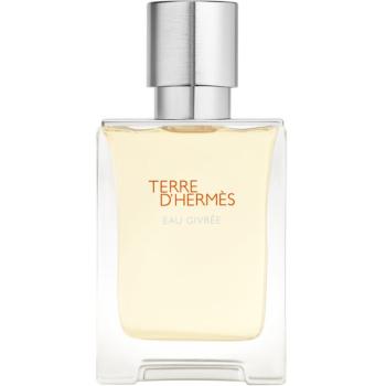 HERMÈS Terre d’Hermès Eau Givrée parfémovaná voda pro muže 50 ml