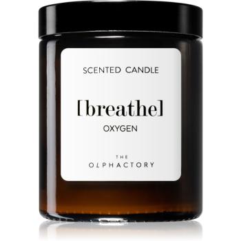 Ambientair The Olphactory Oxygen vonná sviečka (brown) Breathe 135 g