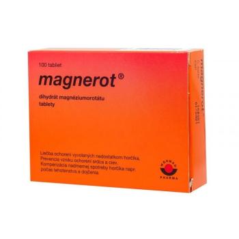 Magnerot tbl.100 x 500 mg