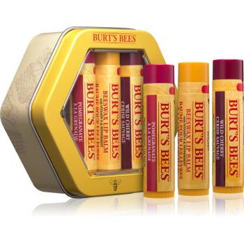 Burt’s Bees Burt's Trio Tin darčeková sada na pery pre ženy III.