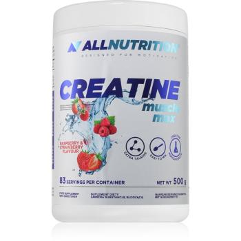 Allnutrition Creatine Muscle Max podpora športového výkonu príchuť Rasberry & Strawberry 500 g