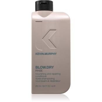 Kevin Murphy Blow.Dry Rinse hĺbkovo hydratačný kondicionér pre všetky typy vlasov 250 ml